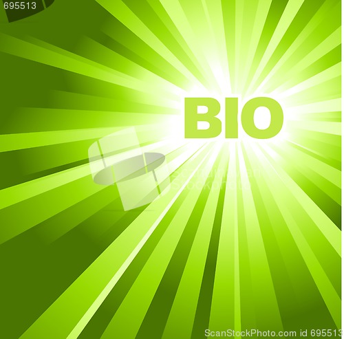Image of BIO / ECO / organic poster