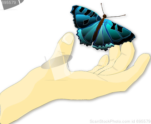 Image of butterfly in the palm