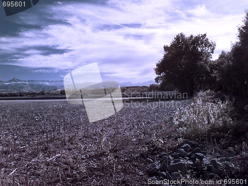 Image of Countyside infrared landscape