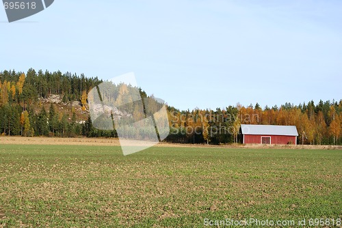 Image of Countryside In Autumn