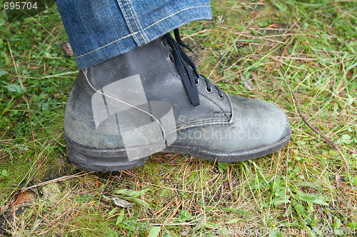 Image of Shoe on green herb