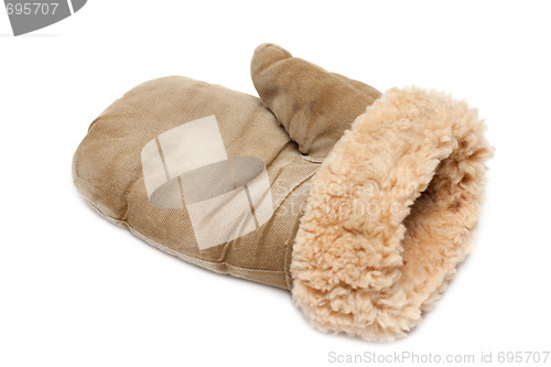 Image of Winter mitten