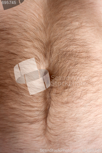 Image of Male hairs belly, bellybutton