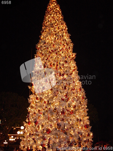Image of Christmas Tree
