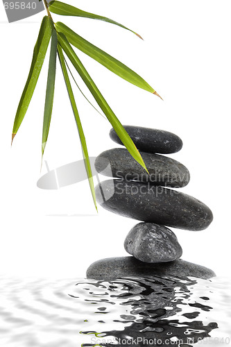 Image of Bamboo and Pebble Still Life