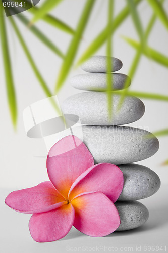 Image of Stone Stack and Frangipani Flower