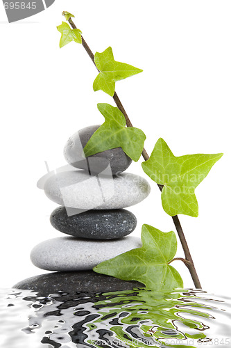 Image of Pebble Stack and Ivy