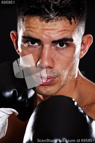 Image of Hispanic boxer