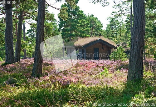 Image of Wooden cabin on a wildflower meadow