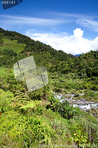 Image of Tropical Mountain Landscape