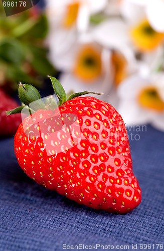 Image of Fresh Strawberry