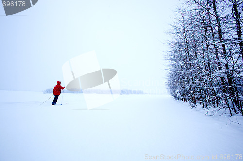 Image of Winter Ski Solitude