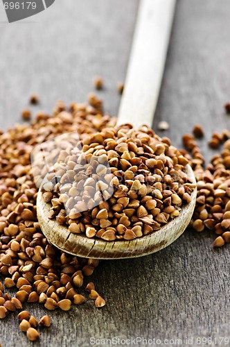 Image of Buckwheat grain