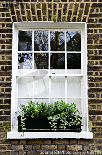 Image of Window in London