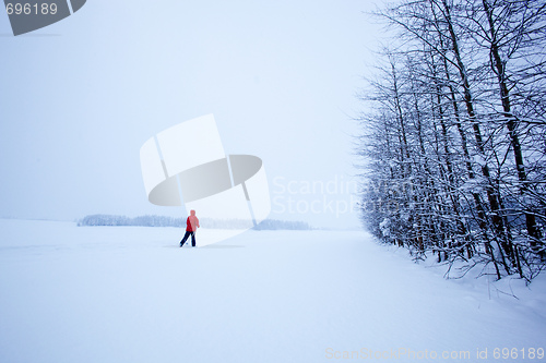 Image of Winter Ski Solitude