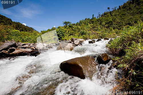 Image of Fresh Mountain River