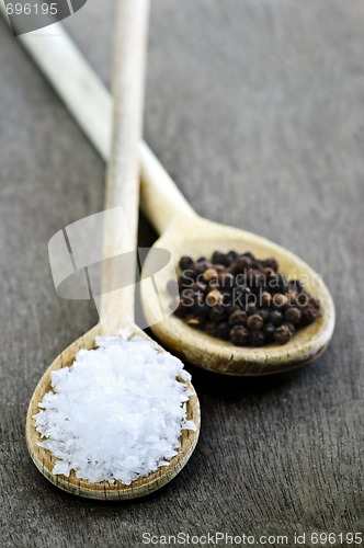 Image of Salt and pepper
