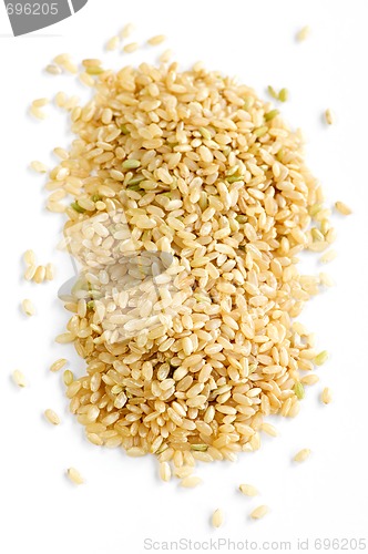 Image of Short brown rice