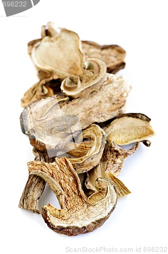 Image of Dry porcini mushrooms
