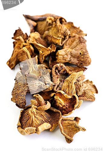 Image of Dry chanterelle mushrooms