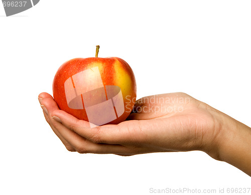 Image of Apple in Hand