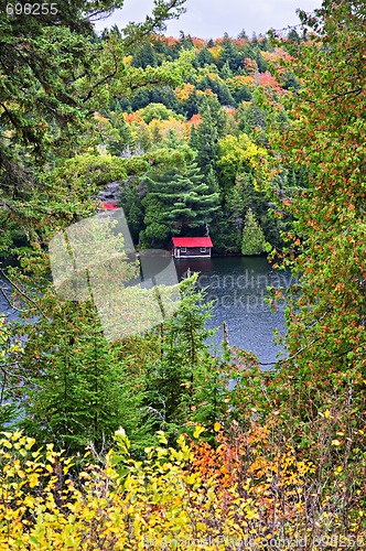 Image of Fall forest and lake