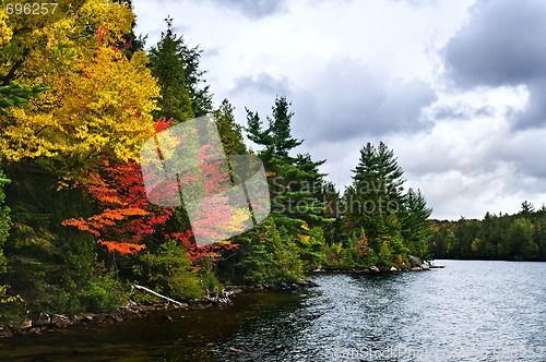 Image of Fall forest and lake shore