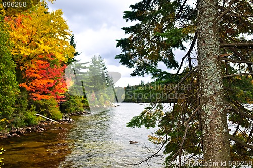 Image of Fall forest and lake shore