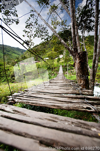 Image of Hanging Bridge