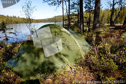 Image of Tent in Forest