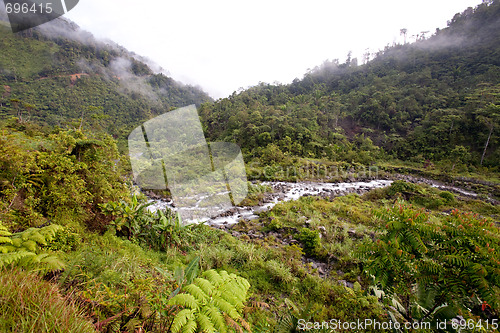 Image of Mountain Stream with Fog