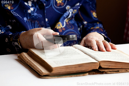 Image of Elderly Woman Reading