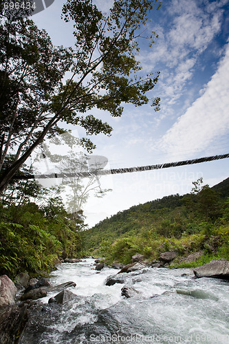 Image of Hanging Bridge