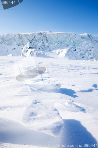 Image of Polar Bear Track