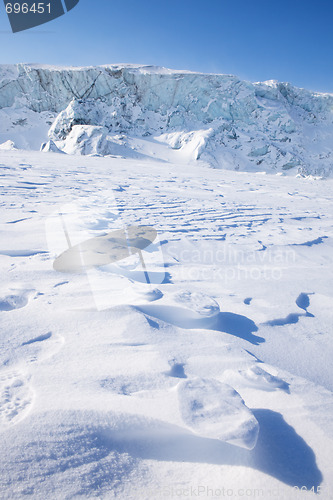 Image of Polar Bear Trail