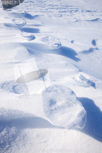 Image of Polar Bear Track