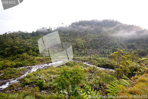 Image of Mountain Stream with Fog