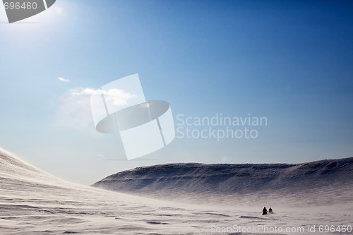 Image of Barren Winter Landscape