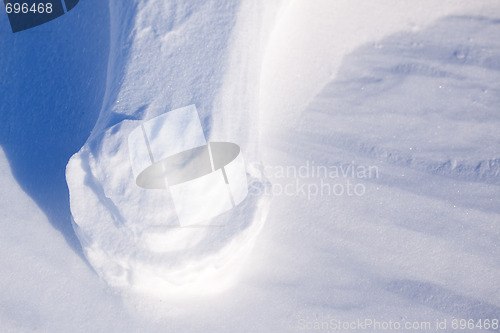 Image of Polar Bear Foot Print