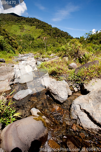 Image of Mountain Stream