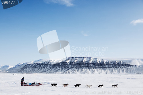 Image of Dog Sled Expedition