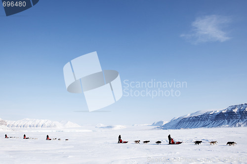 Image of Dog Sled