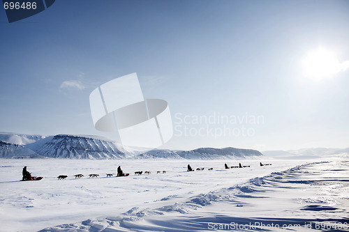 Image of Dog Sled Expedition