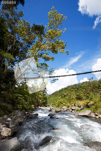 Image of Mountain Stream