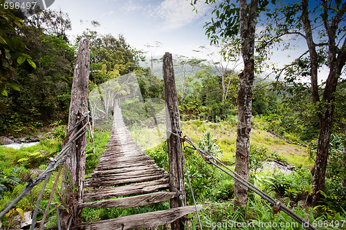 Image of Hanging Bridge