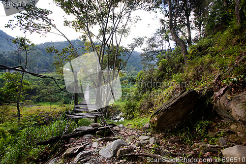 Image of Hanging Bridge Suspension