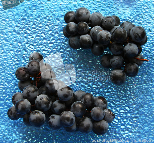 Image of Blue grape clusters on the glass plate