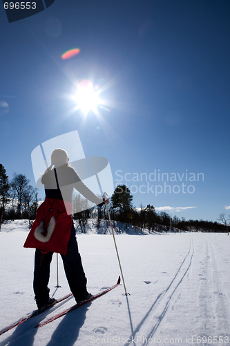 Image of Cross Country Skiing