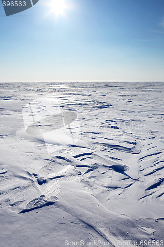 Image of Barren Winter Landscape