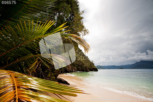 Image of Tropical Beach